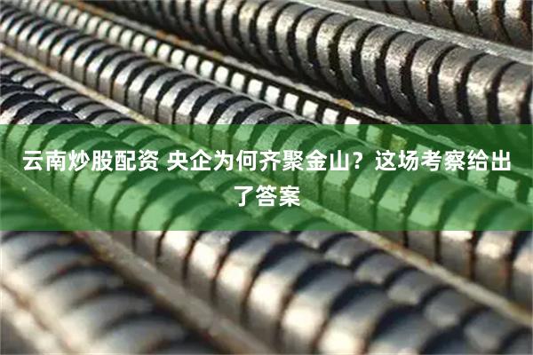 云南炒股配资 央企为何齐聚金山？这场考察给出了答案